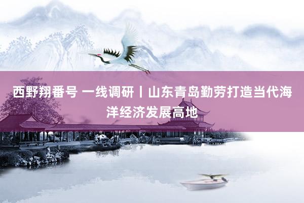 西野翔番号 一线调研丨山东青岛勤劳打造当代海洋经济发展高地