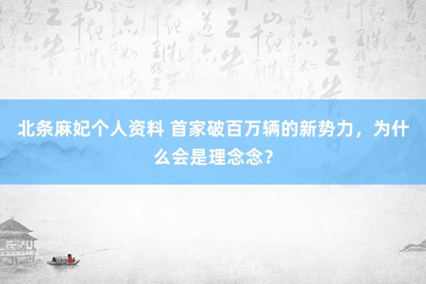 北条麻妃个人资料 首家破百万辆的新势力，为什么会是理念念？