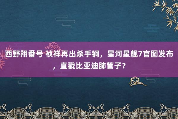 西野翔番号 祯祥再出杀手锏，星河星舰7官图发布，直戳比亚迪肺管子？