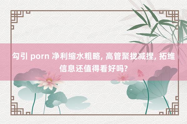 勾引 porn 净利缩水粗略， 高管聚拢减捏， 拓维信息还值得看好吗?