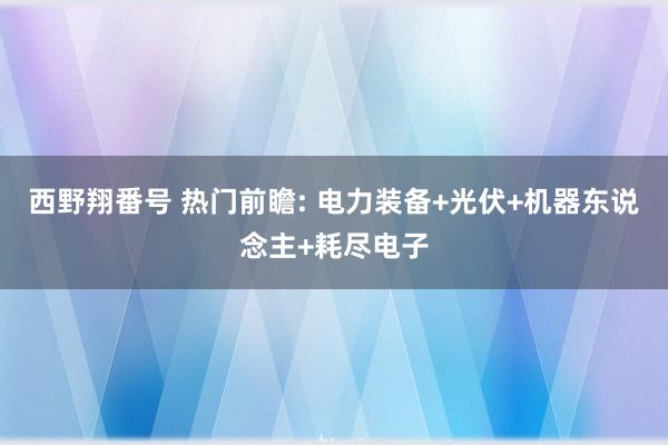 西野翔番号 热门前瞻: 电力装备+光伏+机器东说念主+耗尽电子