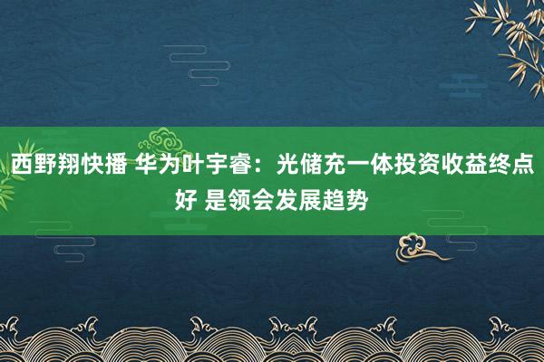 西野翔快播 华为叶宇睿：光储充一体投资收益终点好 是领会发展趋势