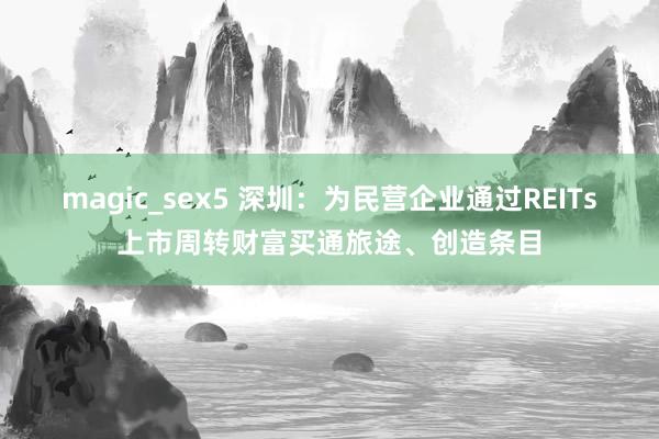 magic_sex5 深圳：为民营企业通过REITs上市周转财富买通旅途、创造条目