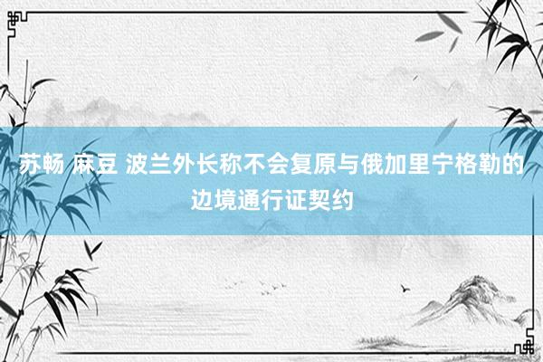 苏畅 麻豆 波兰外长称不会复原与俄加里宁格勒的边境通行证契约