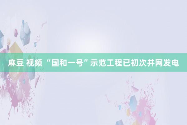 麻豆 视频 “国和一号”示范工程已初次并网发电