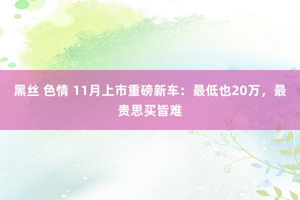 黑丝 色情 11月上市重磅新车：最低也20万，最贵思买皆难