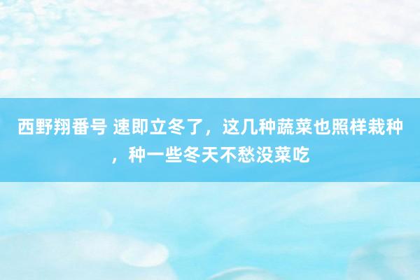 西野翔番号 速即立冬了，这几种蔬菜也照样栽种，种一些冬天不愁没菜吃