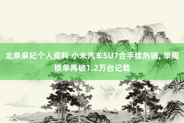 北条麻妃个人资料 小米汽车SU7合手续热销， 单周锁单再破1.2万台记载