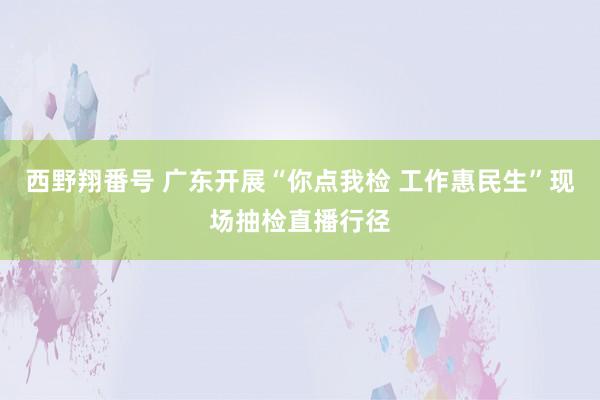 西野翔番号 广东开展“你点我检 工作惠民生”现场抽检直播行径