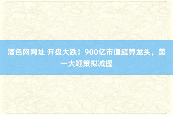 酒色网网址 开盘大跌！900亿市值超算龙头，第一大鞭策拟减握