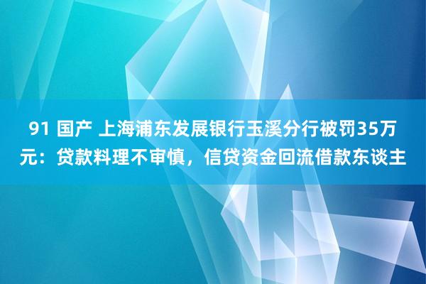 91 国产 上海浦东发展银行玉溪分行被罚35万元：贷款料理不审慎，信贷资金回流借款东谈主