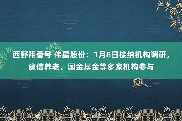 西野翔番号 伟星股份：1月8日接纳机构调研，建信养老、国金基金等多家机构参与