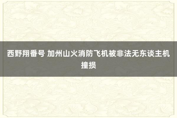 西野翔番号 加州山火消防飞机被非法无东谈主机撞损