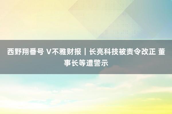 西野翔番号 V不雅财报｜长亮科技被责令改正 董事长等遭警示