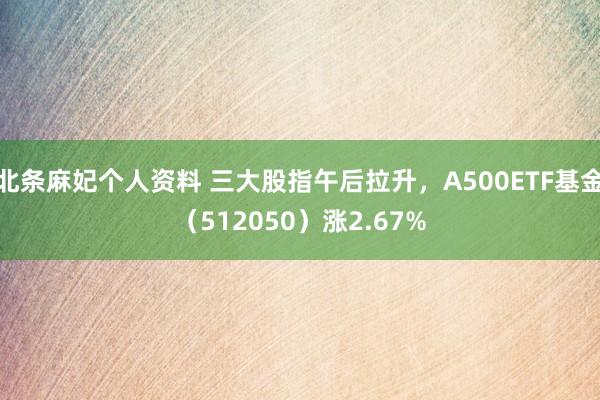 北条麻妃个人资料 三大股指午后拉升，A500ETF基金（512050）涨2.67%