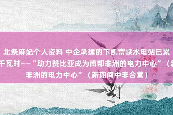 北条麻妃个人资料 中企承建的下凯富峡水电站已累计发电超105亿千瓦时——“助力赞比亚成为南部非洲的电力中心”（新期间中非合营）