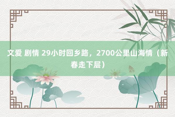 文爱 剧情 29小时回乡路，2700公里山海情（新春走下层）