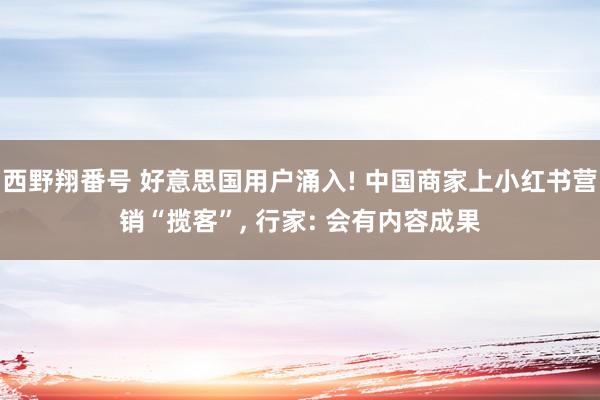 西野翔番号 好意思国用户涌入! 中国商家上小红书营销“揽客”， 行家: 会有内容成果